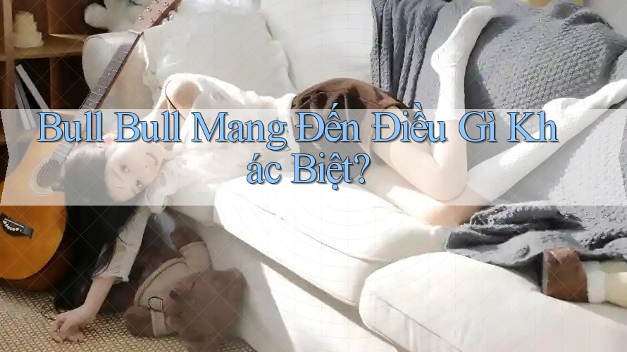 Bull Bull Mang Đến Điều Gì Khác Biệt?