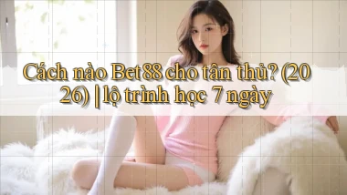 Cách nào Bet88 cho tân thủ (2026) lộ trình học 7 ngày
